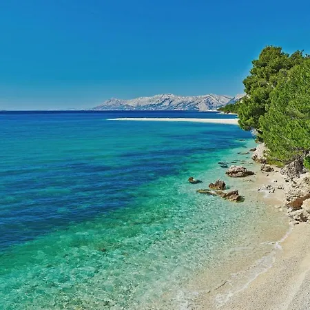 Anton * Makarska